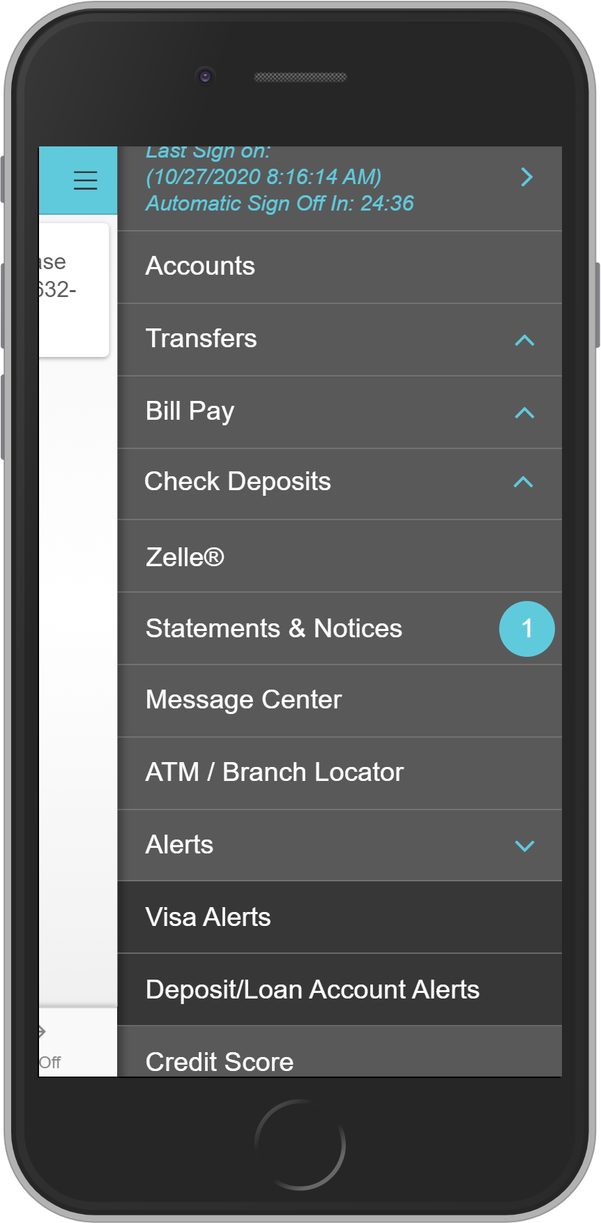 Mobile View 1
