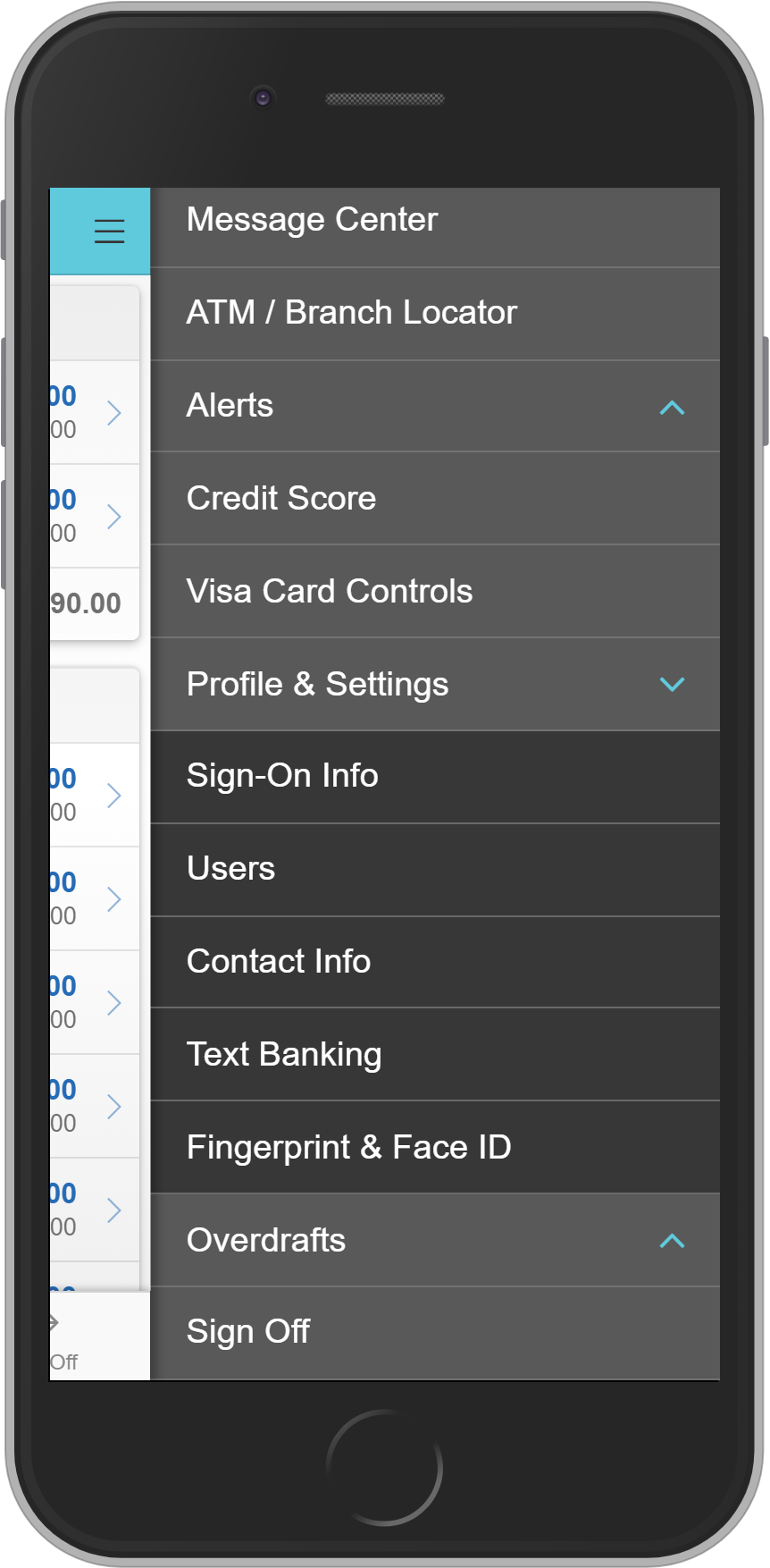 Mobile View 1