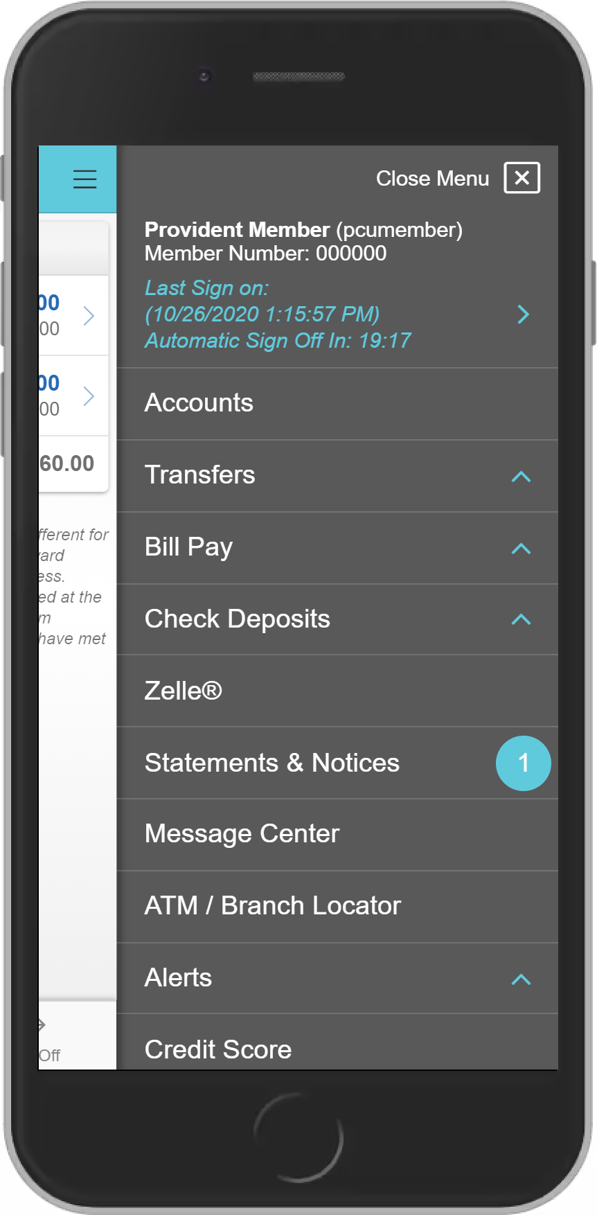 Mobile View 1