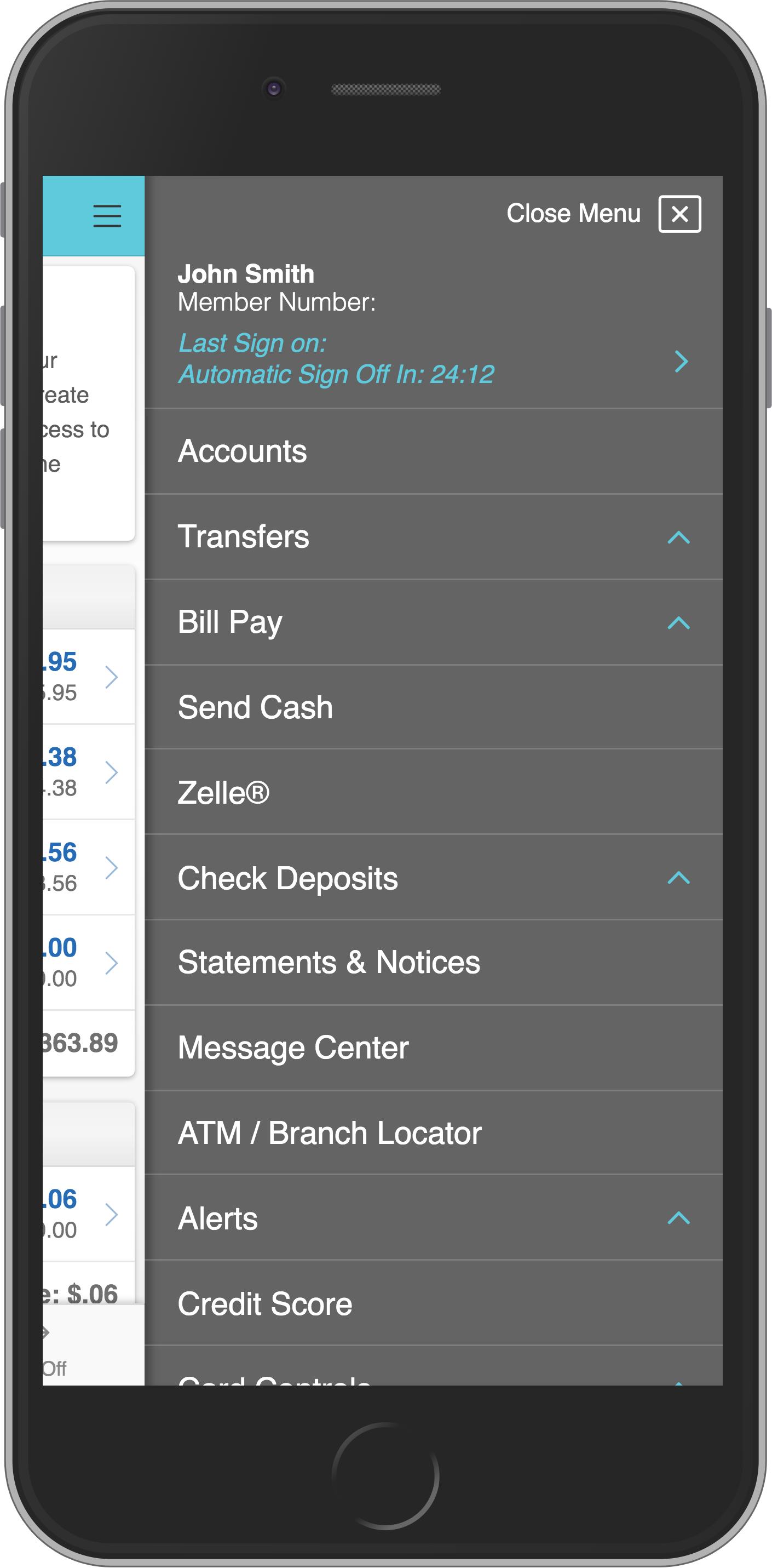 Mobile View 2